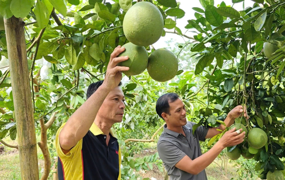 Sắc thu mới trên quê hương cách mạng Kim Bình